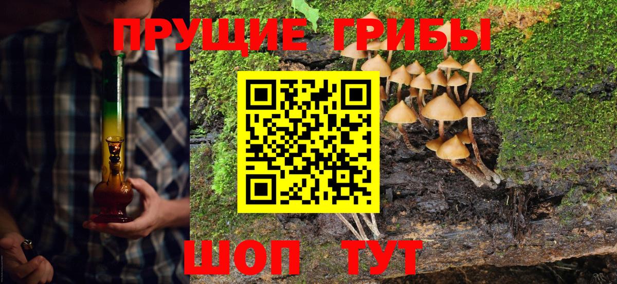как найти закладки  Вход с VPN  Миллерово  Псилоцибиновые грибы MAGIC MUSHROOMS 